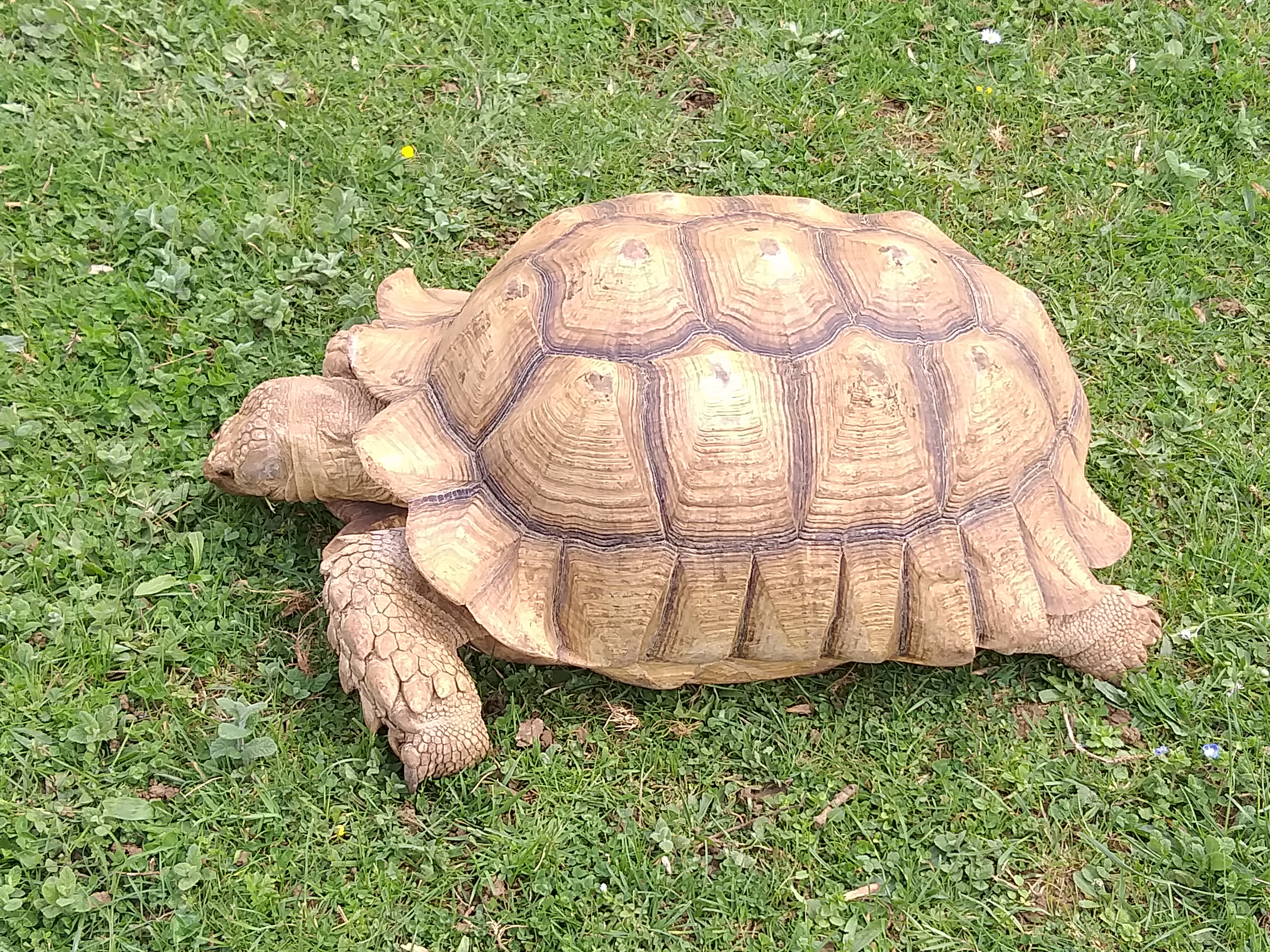 Photo n° 1 de l'avis de martine.a fait le 28/04/2019 à 14:59
