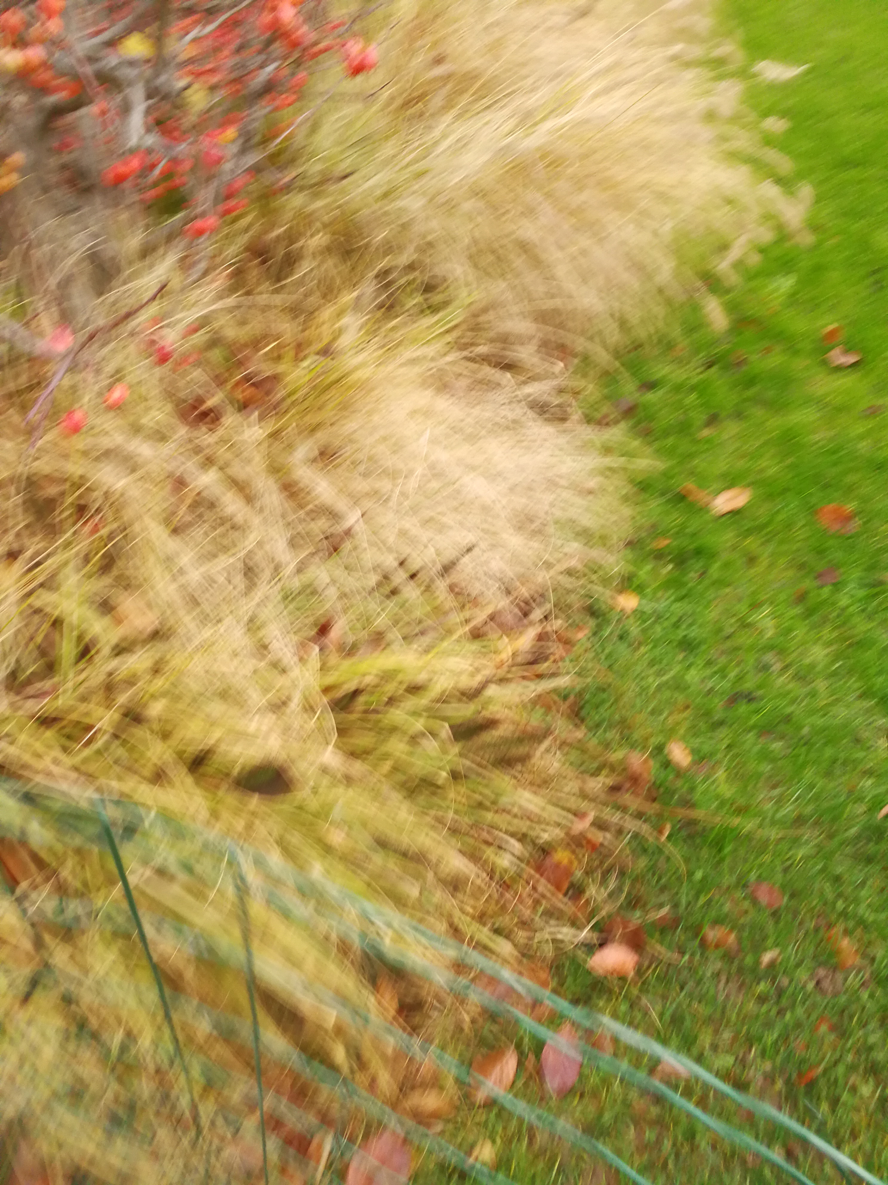 Photo n° 23 de l'avis de Fouad.s fait le 06/12/2017 à 13:21