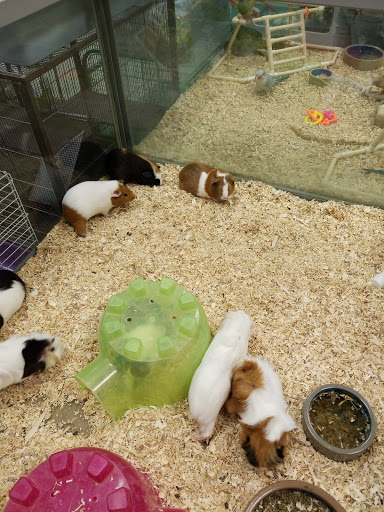Pet Store «Friendly Pets», reviews and photos, 625 Friendly Center Rd, Greensboro, NC 27408, USA