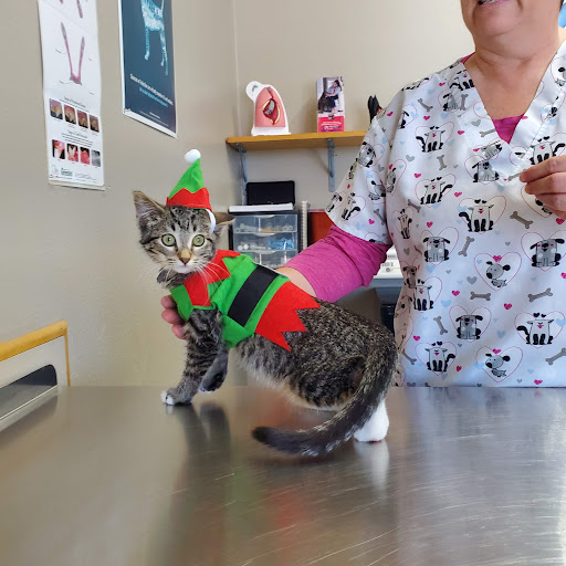 Hay River Animal Hospital image