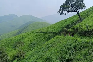 Kudremukha peak View Point (vishmukha) image