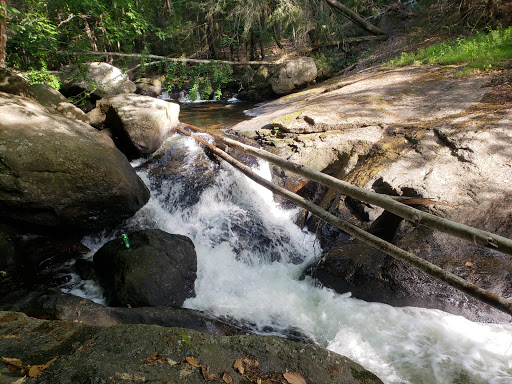 Nature Preserve «Cotton Hollow Preserve», reviews and photos, 493 Hopewell Rd, South Glastonbury, CT 06073, USA