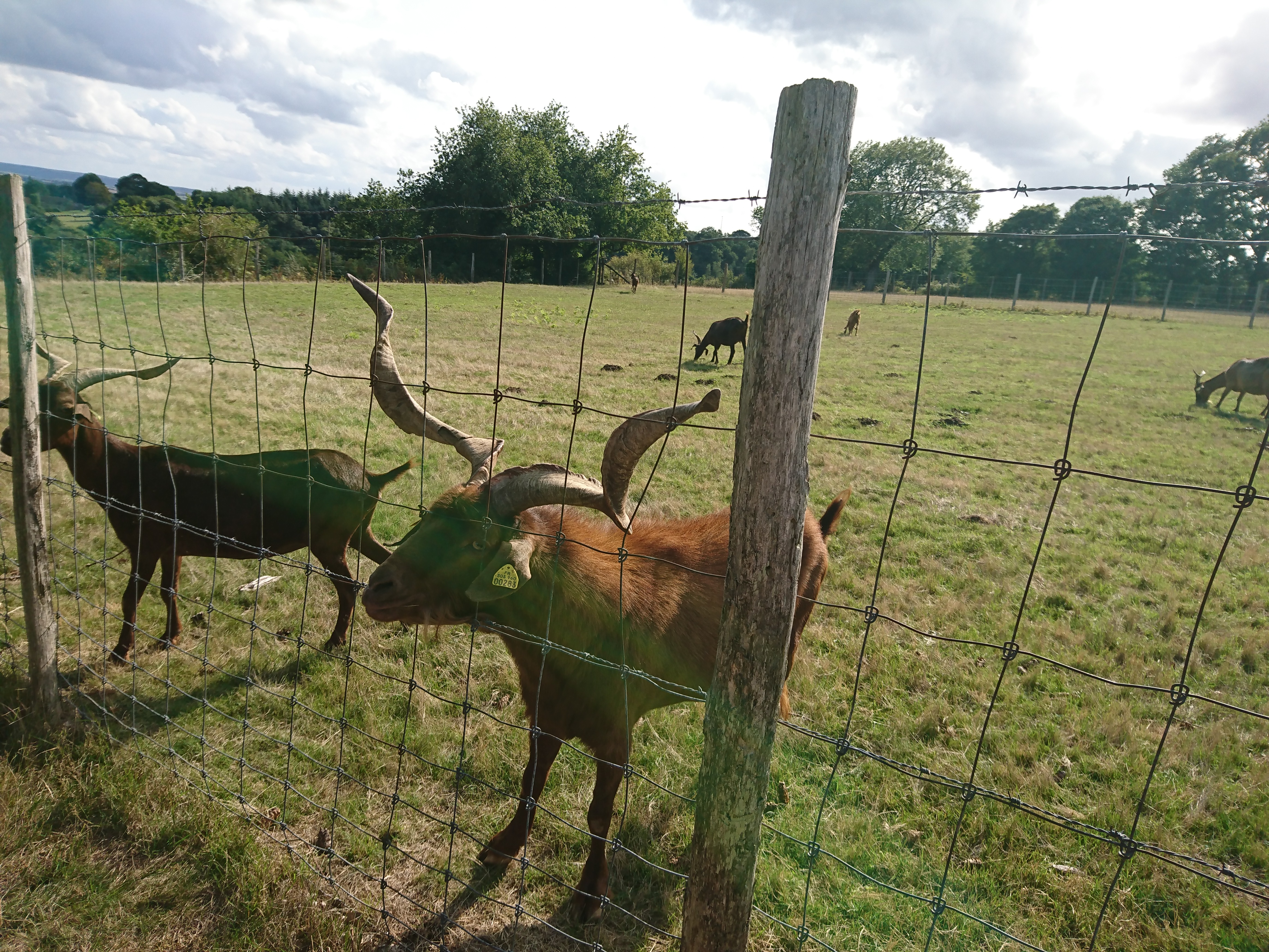 Photo n° 3 de l'avis de Rodolphe.h fait le 19/08/2017 à 15:39