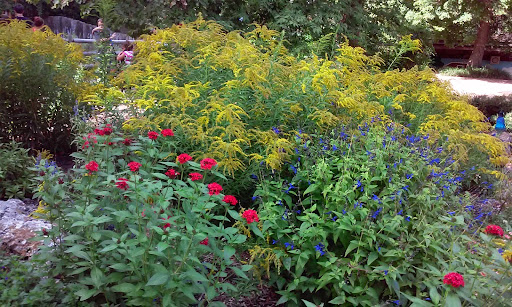 Zoo «Tulsa Zoo», reviews and photos, 6421 E 36th St N, Tulsa, OK 74115, USA