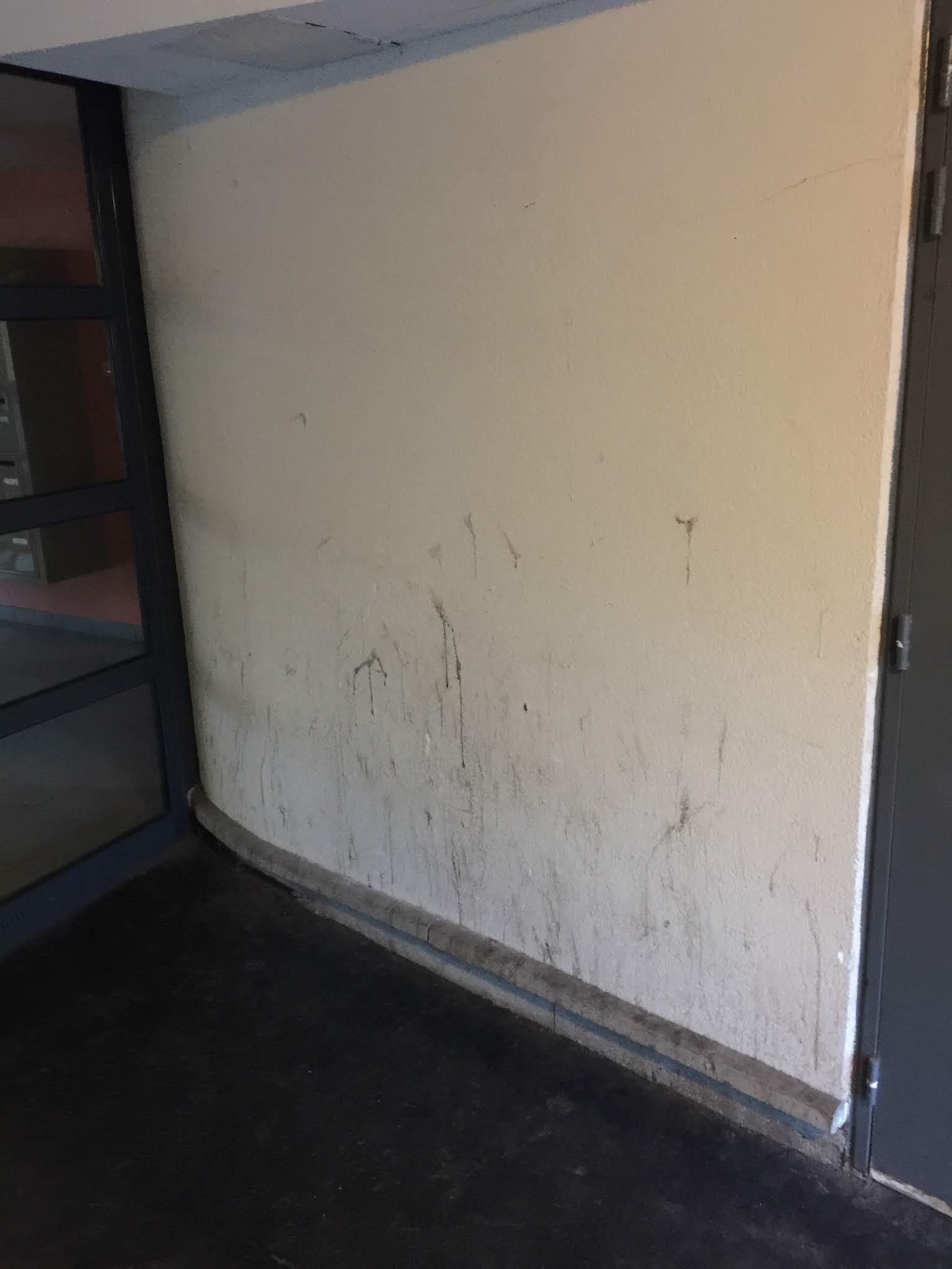 Photo n° 8 de l'avis de Joaquim. fait le 11/02/2020 à 17:51