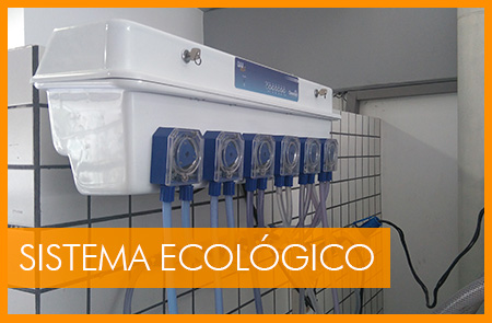 Logo da empresa - Dry & Wet Lavanderia