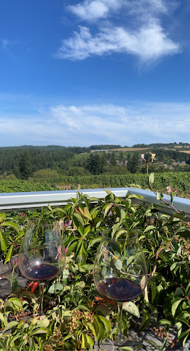 Winery «Raptor Ridge Winery», reviews and photos, 18700 SW Hillsboro Hwy, Newberg, OR 97132, USA