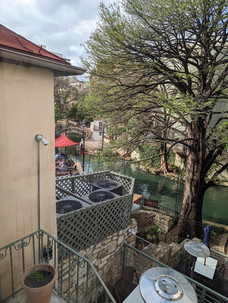 Fig Tree Restaurant 78205