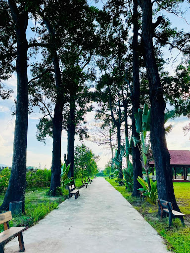 Top 20 tổ chức thôi nôi Huyện Tuy Phước Bình Định 2022