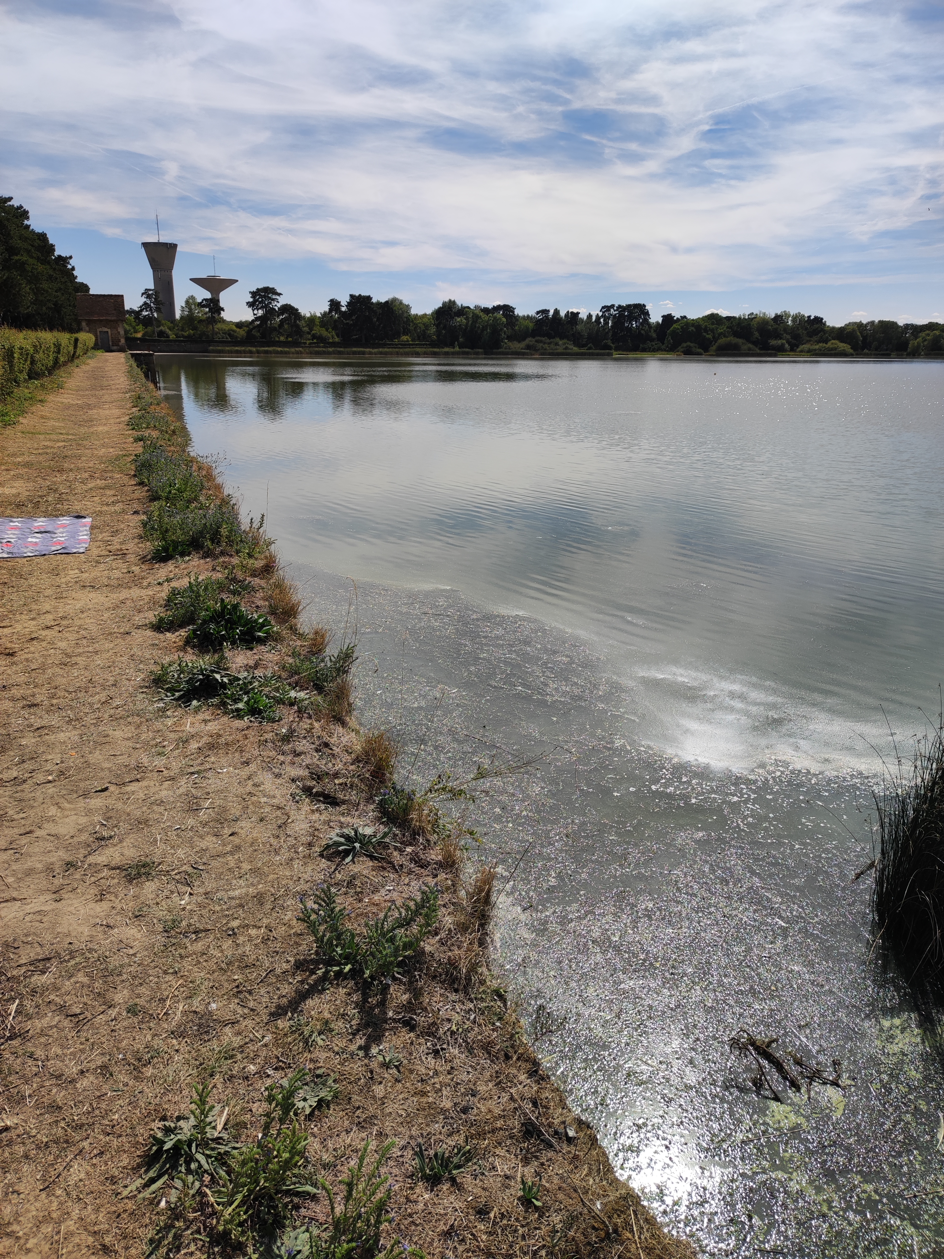 Photo n° 3 de l'avis de Mus.e fait le 02/08/2022 à 14:26
