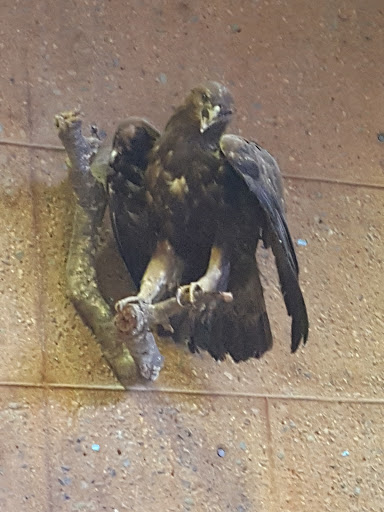 Nature Preserve «Peter and Mary Muth Interpretive Center», reviews and photos, 2301 University Dr, Newport Beach, CA 92660, USA