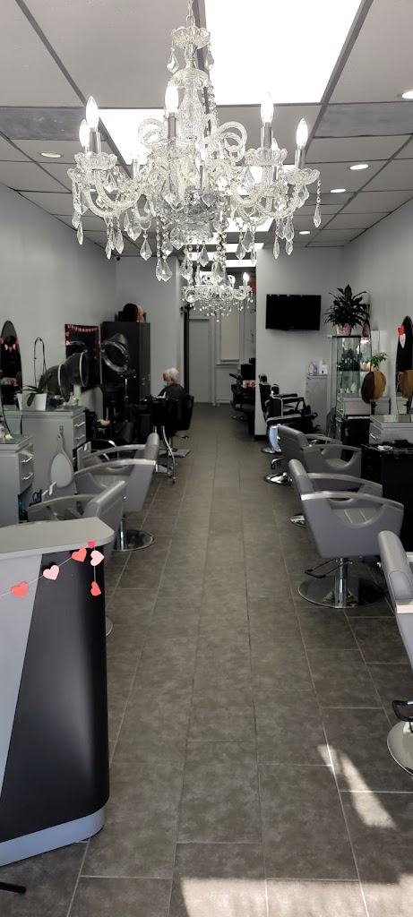W Color Studio 10552