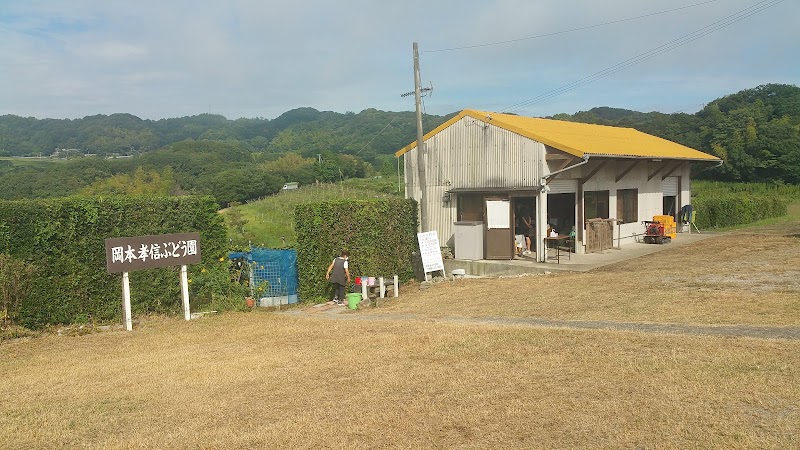 岡本孝信ぶどう園