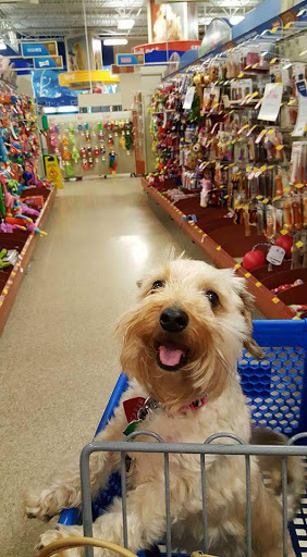 Pet Supply Store «PetSmart», reviews and photos, 6060 Long Prairie Rd, Flower Mound, TX 75028, USA