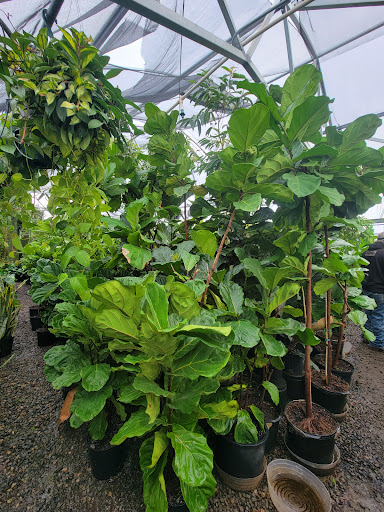 Florist «Little Eden Plantscaping», reviews and photos, 15550 W 72nd Ave, Arvada, CO 80007, USA