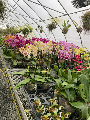 Florist «Floradise Orchids», reviews and photos, 19154 James Madison Hwy, Gordonsville, VA 22942, USA