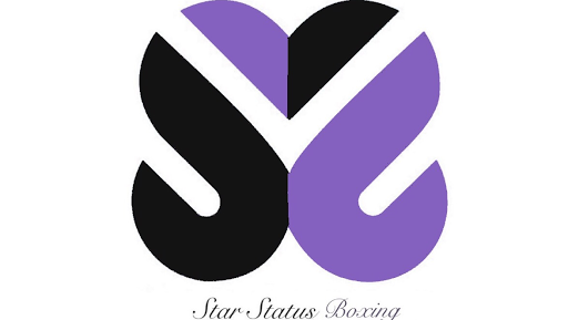 Boxing Gym «Star Status Boxing Gym», reviews and photos, 1115 Cochrans Mill Rd, Pittsburgh, PA 15236, USA