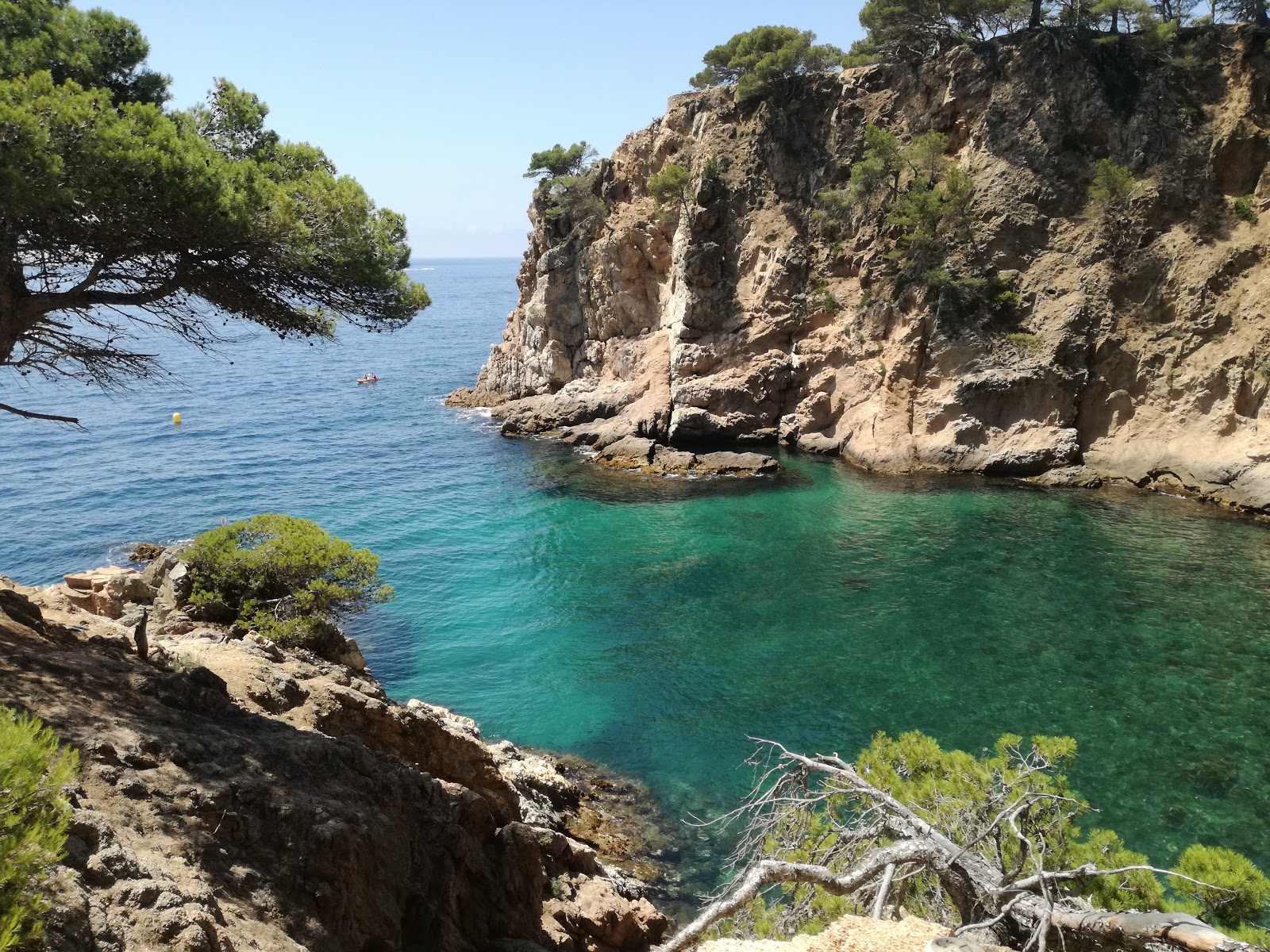 Zdjęcie Cala Corbs z poziomem czystości wysoki