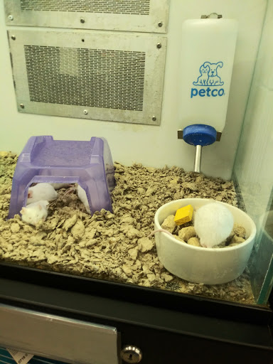 Pet Supply Store «Petco Animal Supplies», reviews and photos, 2565 NE 10th Ct, Homestead, FL 33035, USA