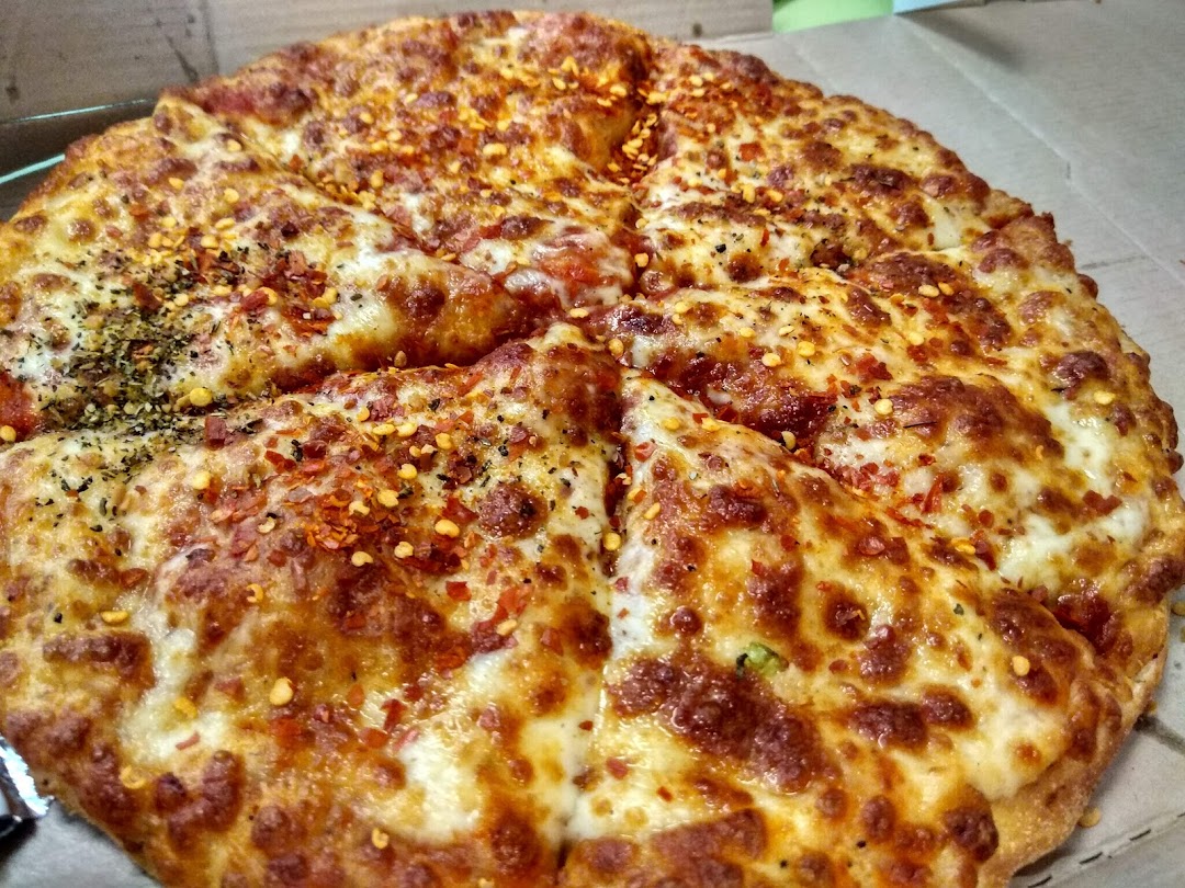 Dominos Pizza Jalandhar 144001