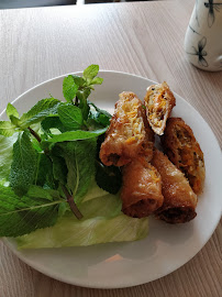 Rouleau de printemps du Mây Bay - Restaurant vietnamien vegan végétarien à Vincennes - n°12