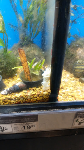 Pet Supply Store «Petco Animal Supplies», reviews and photos, 1410 N Loop 336 W, Conroe, TX 77304, USA