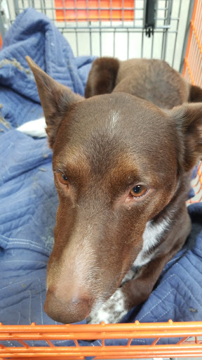 Home Improvement Store «The Home Depot», reviews and photos, 1200 Nixon Dr, Mt Laurel, NJ 08054, USA