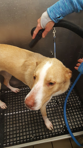 Pet Supply Store «Pet Supplies Plus», reviews and photos, 500 S St W, Raynham, MA 02767, USA