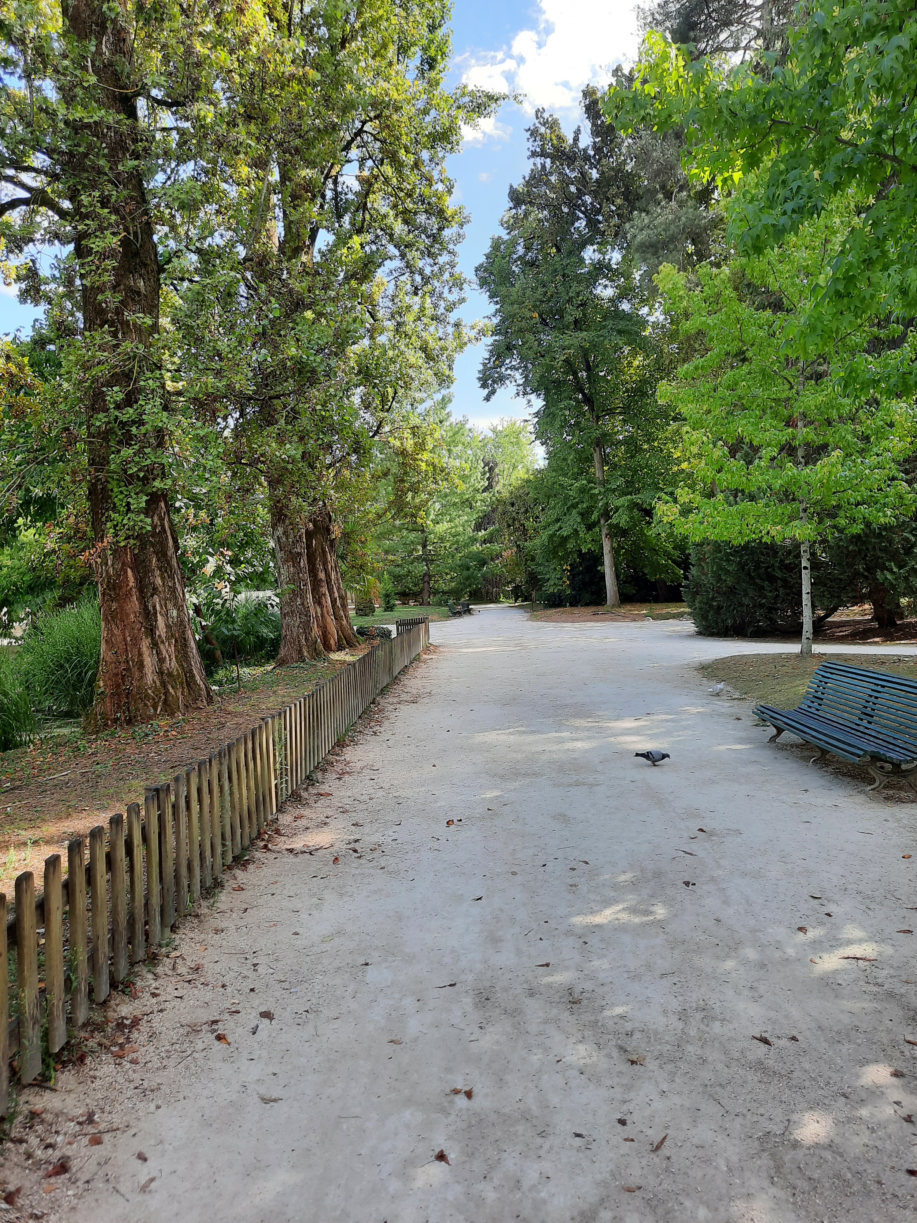 Photo n° 2 de l'avis de Cl.o fait le 02/10/2022 à 19:08