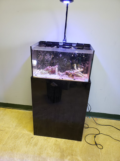 Tropical Fish Store «Saltwater Island», reviews and photos, 15214 Manchester Rd, Ballwin, MO 63011, USA