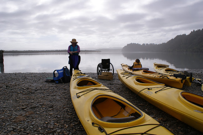 Reviews of Ability Adventures in Dunedin - Travel Agency