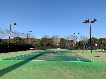 テニスコート（ふれあい坂田池公園）