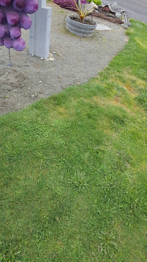 Winery «Olympic Cellars Winery», reviews and photos, 255410 US-101, Port Angeles, WA 98362, USA