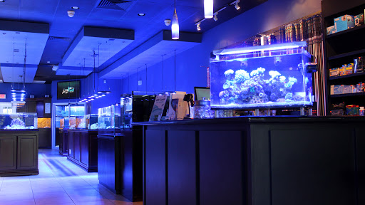 Tropical Fish Store «Living Reef Orlando», reviews and photos, 504 N Alafaya Trail #112, Orlando, FL 32828, USA
