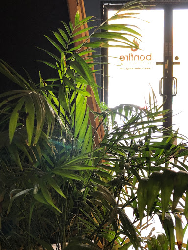 Yoga Studio «Bonfire Hot Yoga», reviews and photos, 3665 SW Hall Blvd, Beaverton, OR 97005, USA