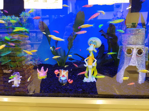 Pet Supply Store «Pet Supplies Plus», reviews and photos, 500 S St W, Raynham, MA 02767, USA