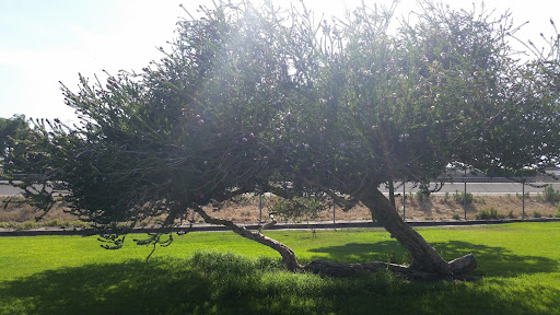 Park «Liberty Park and Fitness Center», reviews and photos, 19211 Studebaker Rd, Cerritos, CA 90703, USA