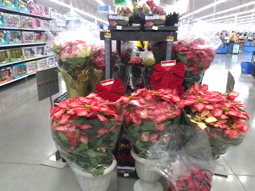 Discount Store «Walmart», reviews and photos, 305 Singing View, Spring Branch, TX 78070, USA