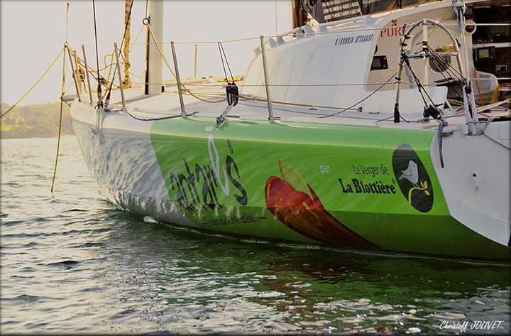 Photo n° 34 de l'avis de JOLIVET.h fait le 11/07/2019 à 20:47