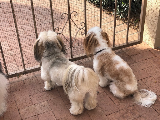 Pet Supply Store «PetSmart», reviews and photos, 10625 N Oracle Rd, Oro Valley, AZ 85737, USA