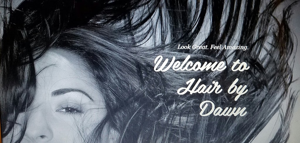 Hair By Dawn 44685
