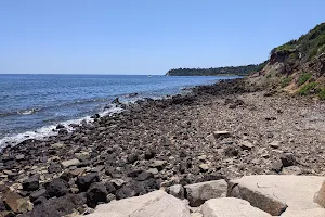 Fossil Beach Dog Off Leash Area image