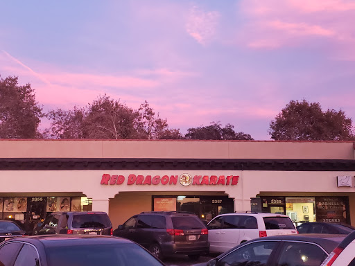Red Dragon Karate La Verne image
