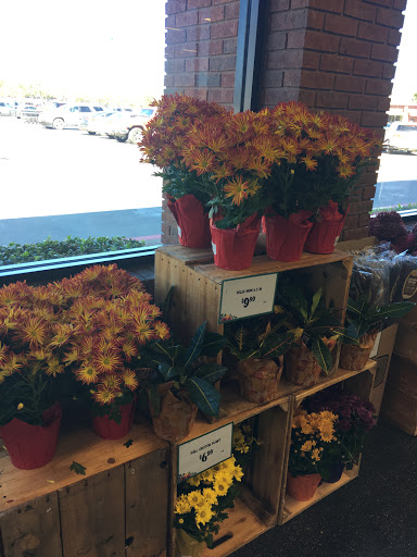 Health Food Store «Sprouts Farmers Market», reviews and photos, 8201 Quaker Ave #140, Lubbock, TX 79424, USA