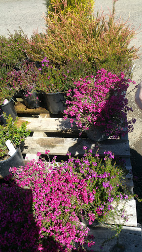 General Contractor «Laurel Bay Gardens Inc», reviews and photos, 88493 US-101, Florence, OR 97439, USA