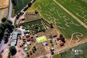 Maislabyrinth am Edersee image