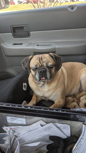 Mexican Restaurant «Chipotle Mexican Grill», reviews and photos, 1385 Conant St A, Maumee, OH 43537, USA