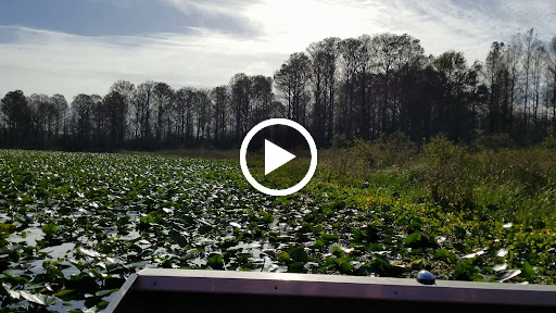 Boat Tour Agency «Alligators Unlimited Airboat Tours», reviews and photos, 14400 Reese Dr, Lake Wales, FL 33898, USA