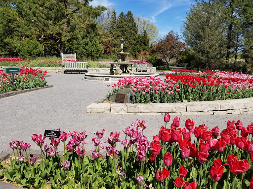 Golf Course «Chaska Town Course», reviews and photos, 3000 Town Course Dr, Chaska, MN 55318, USA