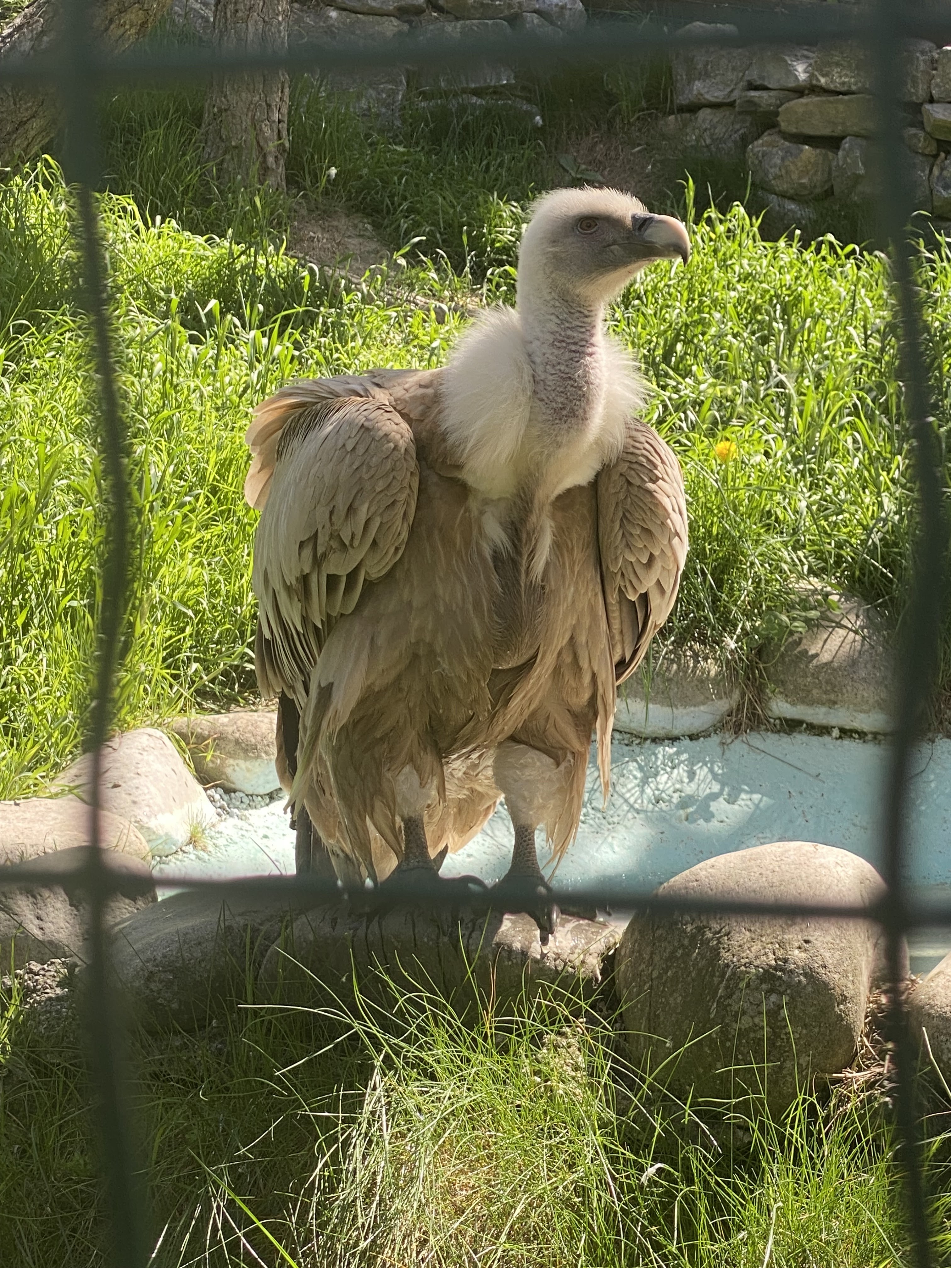 Photo n° 2 de l'avis de Sandy.g fait le 27/04/2023 à 15:51